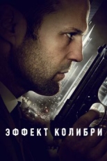 Эффект колибри (2012)