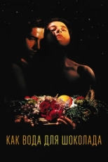 Как вода для шоколада (1991)