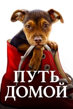 Постер фильма Путь домой (2019)