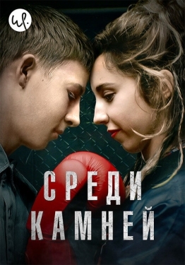 Постер сериала Среди камней (2019)