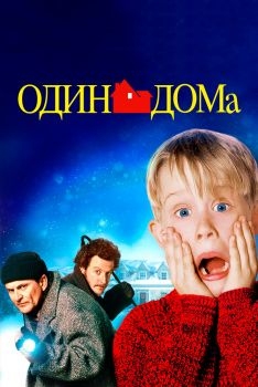 Постер фильма Один дома (1990)