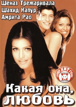 Постер фильма Какая она, любовь (2003)