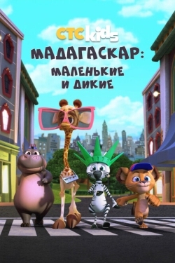 Постер  Мадагаскар: Маленькие и дикие (2020)