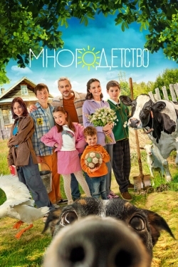 Постер сериала Многодетство (2024)