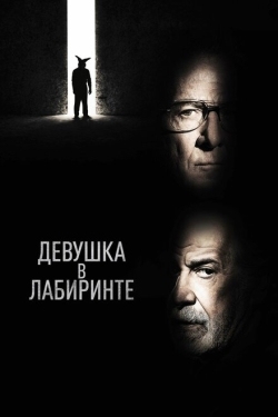 Постер фильма Девушка в лабиринте (2019)