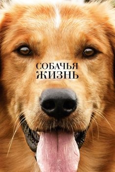 Постер фильма Собачья жизнь (2017)