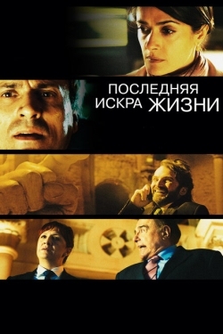 Постер фильма Последняя искра жизни (2011)