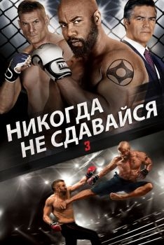 Постер фильма Никогда не сдавайся 3 (2016)