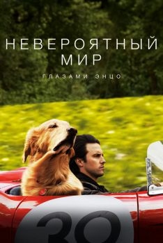 Постер фильма Невероятный мир глазами Энцо (2019)