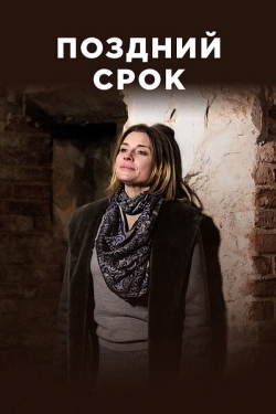 Постер сериала Поздний срок (2019)