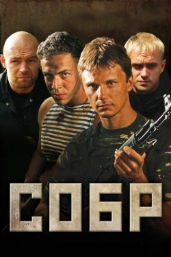 Постер сериала СОБР (2010)