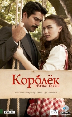 Постер сериала Королёк – птичка певчая (2013)