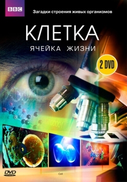 Постер сериала BBC: Клетка (2009)