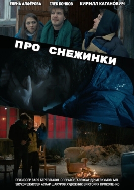 Постер фильма Про снежинки (2019)