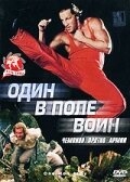 Постер фильма Один в поле воин (1994)