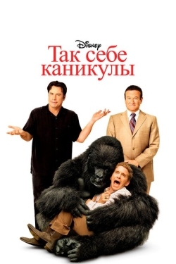 Постер фильма Так себе каникулы (2009)