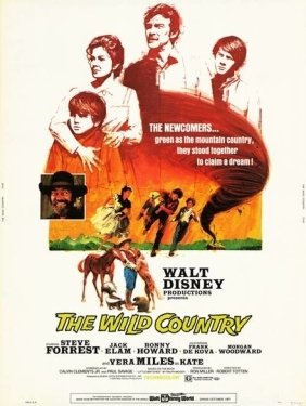 Постер фильма Повеса за городом (1970)