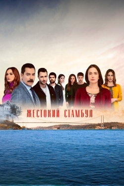 Постер сериала Жестокий Стамбул (2019)