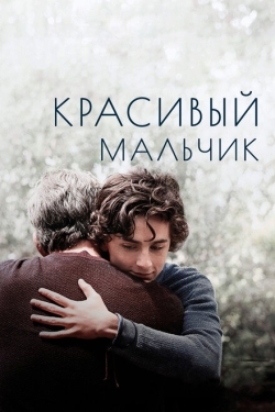 Постер фильма Красивый мальчик (2018)