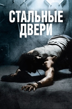 Постер фильма Стальные двери (2010)