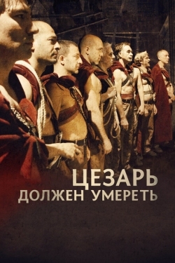 Постер фильма Цезарь должен умереть (2011)