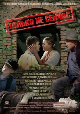 Постер фильма Только не сейчас (2010)