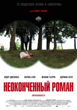 Постер фильма Неоконченный роман (2011)