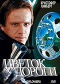 Постер фильма Цветок у дороги (1993)