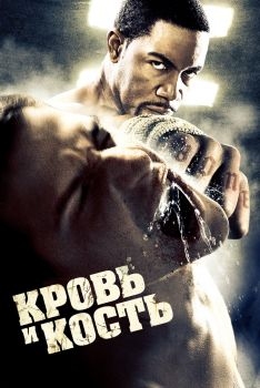 Постер фильма Кровь и кость (2009)