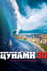 Постер фильма Цунами 3D (2011)