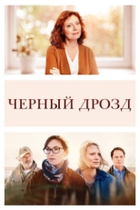 Постер фильма Чёрный дрозд (2019)