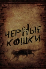 Постер сериала Черные кошки (2013)