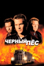 Постер фильма Черный пес (1998)