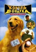 Постер фильма Король воздуха: Седьмая подача (2002)