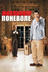 Постер фильма Миллионер поневоле (2002)