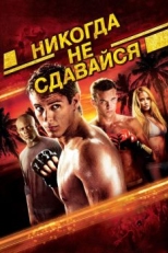 Постер фильма Никогда не сдавайся (2008)