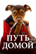 Постер фильма Путь домой (2019)