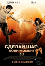 Постер фильма Сделай шаг: Лови момент (2013)