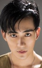 Zichen Wang