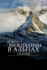 Постер фильма Убежище. Истории о выживании в Альпах (2019)