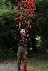 Энди Голдсуорти