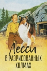 Постер фильма Лесси в разрисованных холмах (1951)