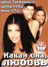 Постер фильма Какая она, любовь (2003)