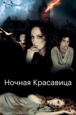 Постер фильма Ночная красавица (2013)