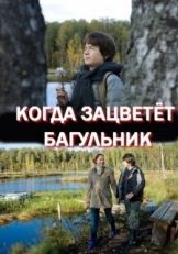 Постер фильма Когда зацветёт багульник (2010)