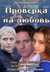 Постер фильма Проверка на любовь (2013)