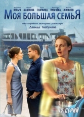 Постер сериала Моя большая семья (2012)