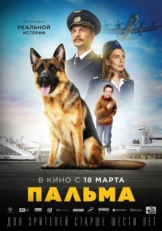 Постер фильма Пальма (2020)