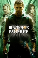 Постер фильма Шальное ранение (2015)