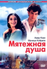 Постер фильма Мятежная душа (1999)